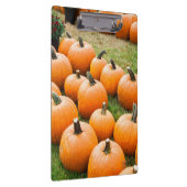 Pompoenen voor verkoop op de markt van een boer klembord (Rechts)