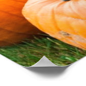 Pompoenen voor verkoop op de markt van een boer poster (Hoek)