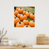 Pompoenen voor verkoop op de markt van een boer poster (Keuken)