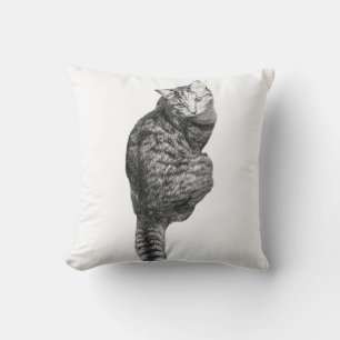 pompoenglimwhiskers kussen