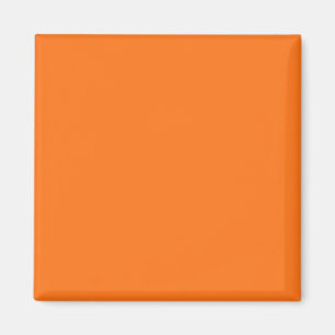 Pompoenhex-code FF7518 Magneet