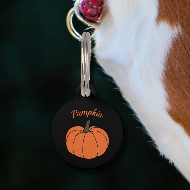 Pompoenhuisdierentag Huisdierpenning (Pumpkin Pet Tag)