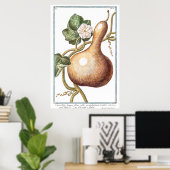  pompoenillustratie van Giorgio Bonelli Poster (Thuiskantoor)