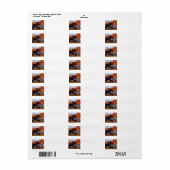 Pompoenjager Etiket (Full Sheet)