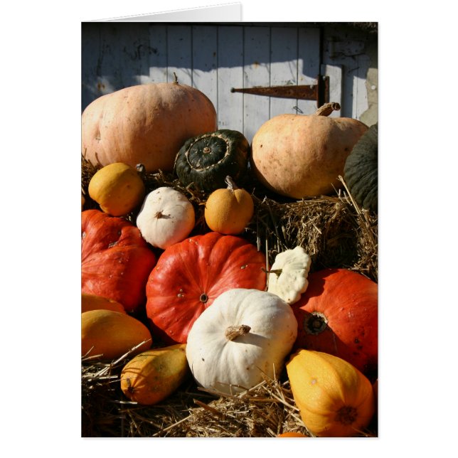 Pompoenkaart (Voorkant)