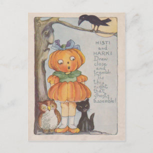 Pompoenkop Jack O Lantern Kraai Zwarte Kat Uil Briefkaart