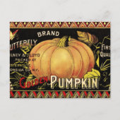 Pompoenlabel Antiek vlindermerk Briefkaart (Voorkant)