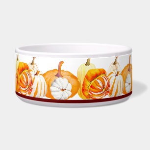 Pompoenoogst op een Salad Bowl (O) Voerbakje