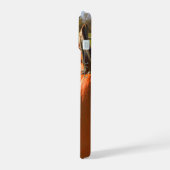 Pompoenoogst, pompoenen op een pompoenveld iPhone 15 case (Linkerkant)