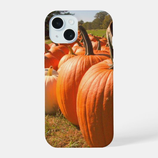 Pompoenoogst, pompoenen op een pompoenveld iPhone 15 case (Achterkant)