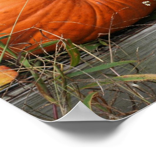 Pompoenpaar Herfst Spiegel Abstract Poster (Hoek)