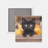 pompoenpatchkitten magneet (Voorkant / Achterkant)