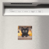 pompoenpatchkitten magneet (Insitu (Vaatwasser))