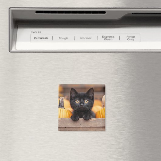 pompoenpatchkitten magneet (Insitu (Vaatwasser))