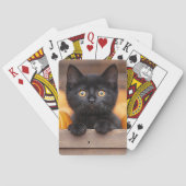 pompoenpatchkitten pokerkaarten (Achterkant)