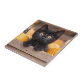 pompoenpatchkitten tegeltje (Zijkant)
