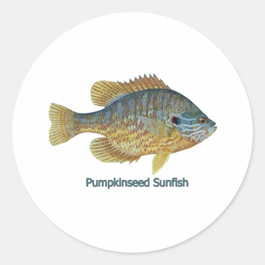 Pompoenpitten Sunfish (getiteld) Ronde Sticker (Voorkant)
