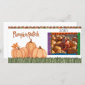 pompoenpleister (Voorkant / Achterkant)