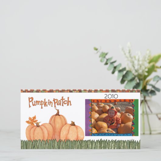 pompoenpleister (Staand voorkant)