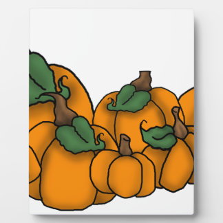 pompoenpleister fotoplaat