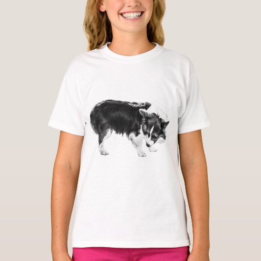pompoenrijtuig t-shirt (Voorkant)