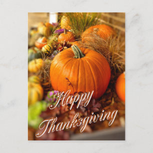 Pompoenscherm Briefkaart