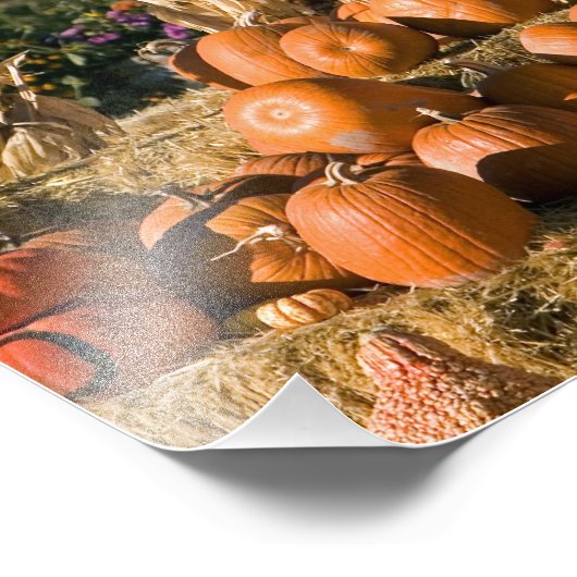 Pompoenscherm met hooibalen en spuitbussen foto afdruk (Hoek)