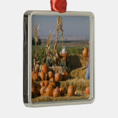 Pompoenscherm met hooibalen en spuitbussen metalen ornament (Rechts)