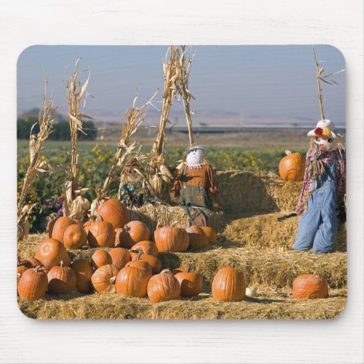 Pompoenscherm met hooibalen en spuitbussen muismat (Voorkant)