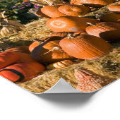 Pompoenscherm met hooibalen en spuitbussen poster (Hoek)