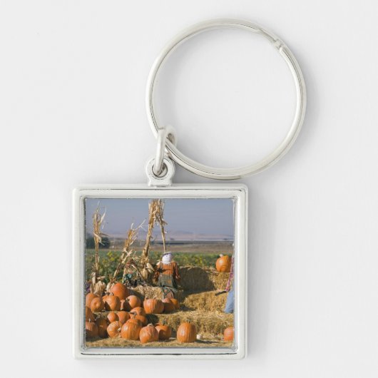 Pompoenscherm met hooibalen en spuitbussen sleutelhanger (Voorkant)
