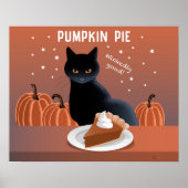 Pompoentaart Poster (Voorkant)