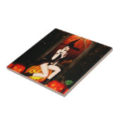 pompoentroonheks tegeltje (Zijkant)