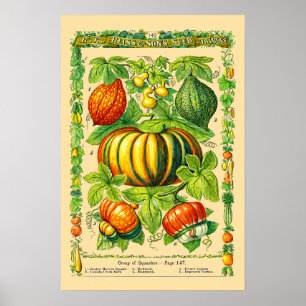 Pompoenvariëteiten Retro Victoriaans tijdperk Bota Poster