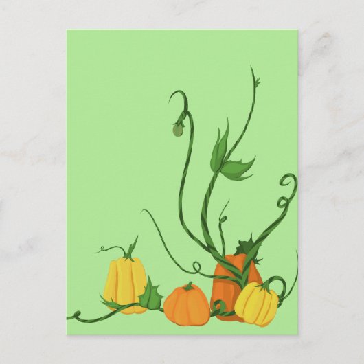 Pompoenveld Briefkaart (Voorkant)