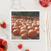 Pompoenveld Herfst Oogst Fotografie Servetten (Insitu)