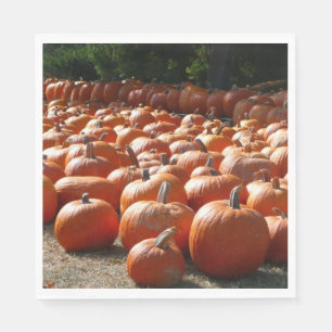 Pompoenveld Herfst Oogst Fotografie Servetten