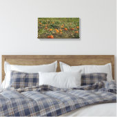 Pompoenveld Muurkunst Canvas Afdruk (Insitu (Slaapkamer))