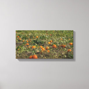 Pompoenveld Muurkunst Canvas Afdruk
