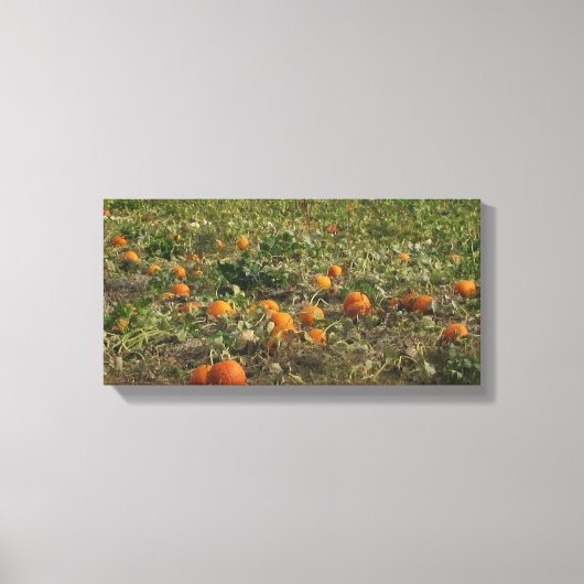 Pompoenveld Muurkunst Canvas Afdruk (Voorkant)