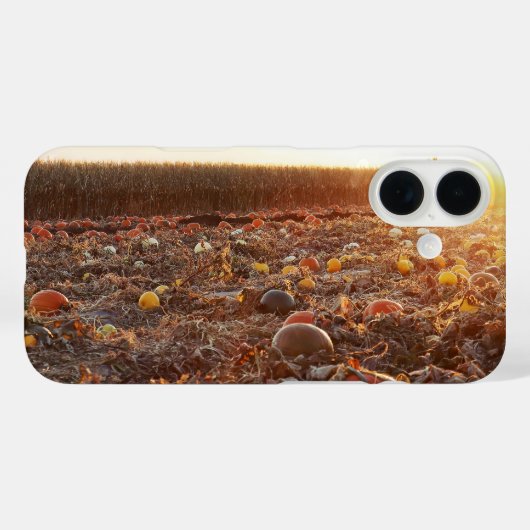 Pompoenveld Zonsondergang C Case-Mate iPhone Case (Achterkant (horizontaal))
