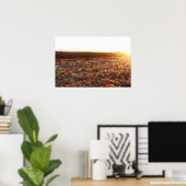 Pompoenveld Zonsondergang C Poster (Thuiskantoor)