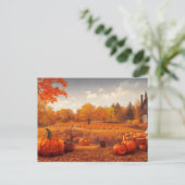 Pompoenvelden van de herfst briefkaart (Staand voorkant)