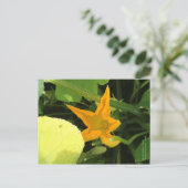 Pompoenventiel in Bloom Briefkaart (Staand voorkant)