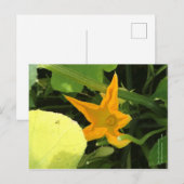 Pompoenventiel in Bloom Briefkaart (Voorkant / Achterkant)