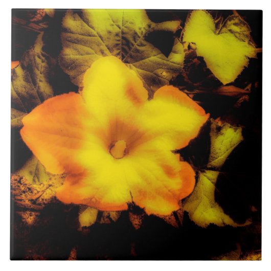 Pompoenventiel Tegeltje (Voorkant)