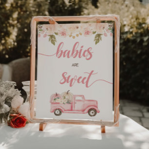 Pompoenwagen Baby shower baby's zijn zoet Poster