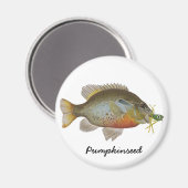 pompoenzaad magneet (Voorkant / Achterkant)