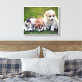 Pomsky puppies Canvas Afdruk (Insitu (Slaapkamer))