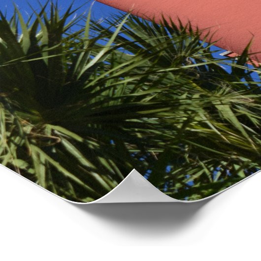 Ponce De Leon Vuurtoren Foto op een Poster (Hoek)